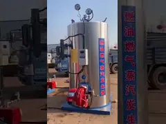 Боилер биомассы вертикальной деревянной лепешки 0,5 Т/Х небольшой для нержавеющей стали Филиппин video