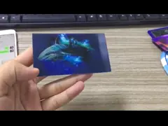 Милые линзовидные рождественские открытки 3Д, изготовленные на заказ линзовидные визитные карточки video