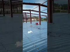 Подгонянное здание стальной структуры 0.476mm уравновешивая промышленное video