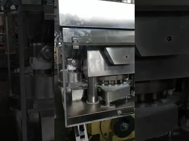 Машина двойного роторного планшета планшета Zp 27D 120kn 25mm отжимая с Deduster видео