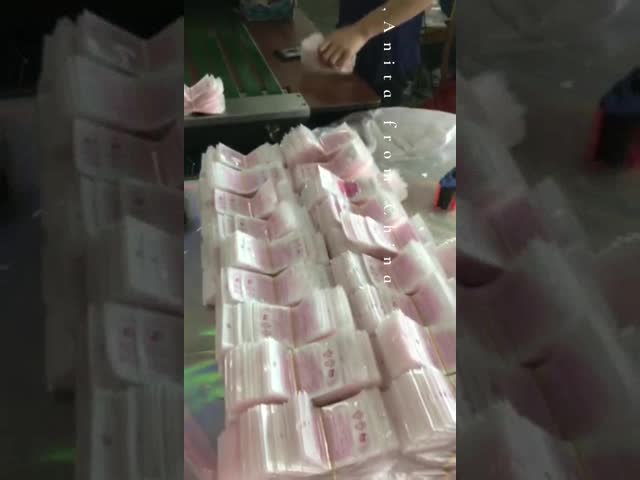 Reclosable Gravure Printing Frosted CPE Shirt Packaging Bags Clothing Ziplock Bag