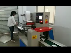 Длины сумки быстрого хода 100-400мм машины упаковки ткани подачи вырезывание влажной гибкое video