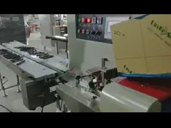 Ширина сумки размывателя 30-110мм изумленного взгляда стекел гребня машины упаковки подушки подачи video