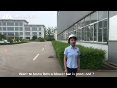 Воздуходувка давления AC электрическая высокая для поколения тепловой мощности video