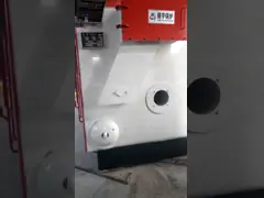 Coal/biomass gas oil fired multi-function steam boiler