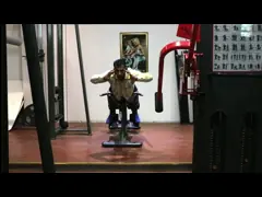 Ориентированное на заказчика полное оборудование тренировки расширения задней части спортзала video