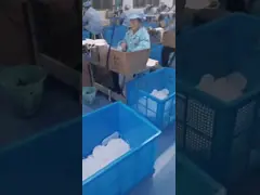 Antibacterial Disposable FFP2 Face Mask With Earloop For Daily Use