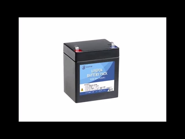 12.8v 100ah Deep Cycle Battery , Li Ion Phosphate Battery Pack For Camper