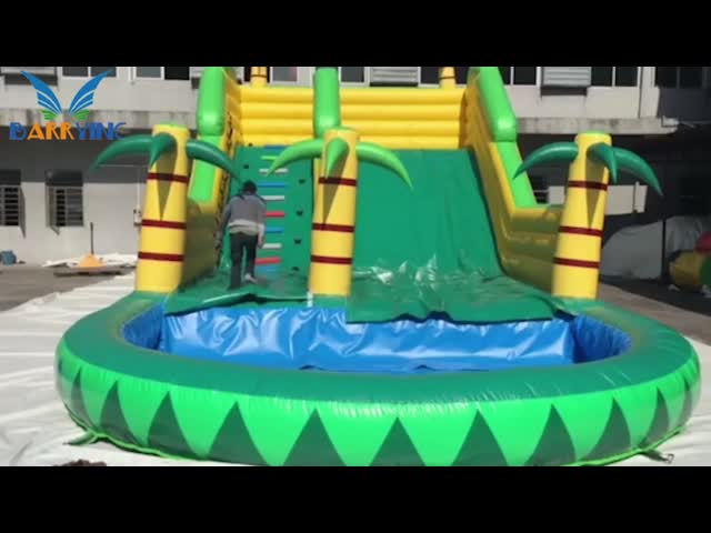 Пламя Waterslide 12X5m кокосовой пальмы раздувное - retardant видео