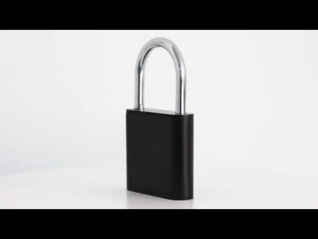 Расквартируйте замок с опознаванием отпечатка пальцев/биометрическим замком парадного входа 0.5с видео