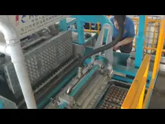 Автоматическая роторная машина подноса яичка, полно линия 2000pcs/hr машины бокса яичка ролика video