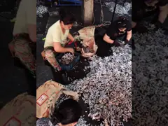 Heavy Duty Wardrobe Hardware Pull Handles Brass Entry Door Handles