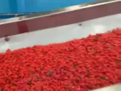 Нержавеющая сталь технологической линии технологической линии плода качества еды пульпы ягоды video