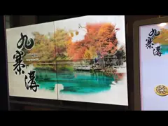 стена видео дюйма 1920*1080 210В ЛКД зазора 55 1.7мм video