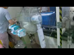 Тип 65 PPM HMI фильма контролировал машину упаковки санитарного полотенца video