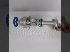 Handwheel Cryogenic Shut Off Valve Stainless Steel Fireproof DN 25 video