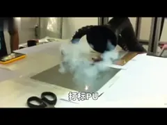 Безщеточные оборудования чистки воздуха экстрактора 220В перегара припоя мотора ДК для машины лазера video