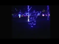 Камешек ПВК СМД5050 РГБ освещает 0,028 высокого Ампс украшения тематического парка Бригтнесс video