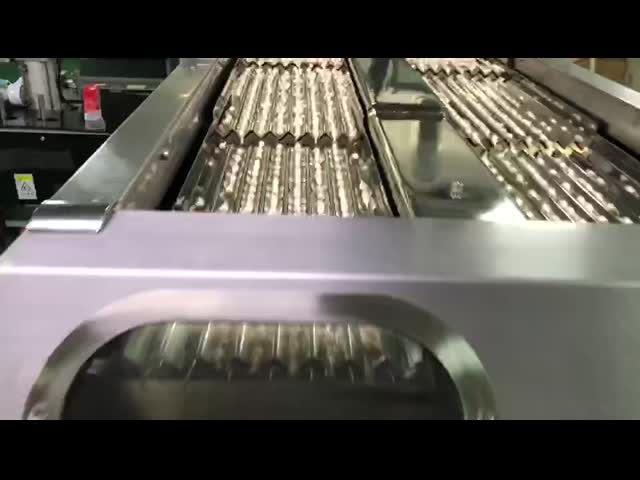 Modular Pill Counter Machine Stainless Steel Small Tablet Counting Machine video