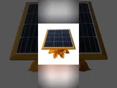 Яркая солнечная осветительная установка сада IP67 с украшением цветка video