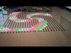 Света сетки сети СИД замороженного шарика Файры с прочным поли снабжением жилищем карбоната video