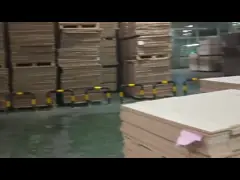 Ply wood UV coating line