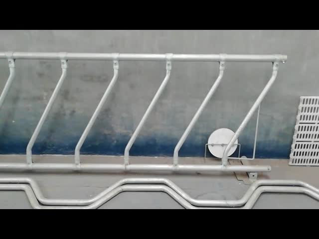 Hot dip galvanized Cow free stall