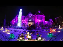 CE Rohs RGB String Light For Christmas Chree Decoration