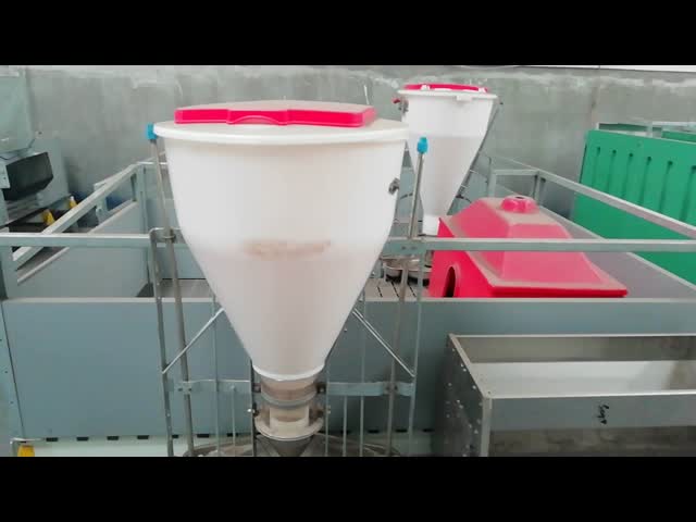 good quality Automatic Pig Feeder provider from China