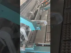 машина подноса яичка пульпы 4000pcs/hr отливая в форму, польностью автоматическая машина подноса яичка video