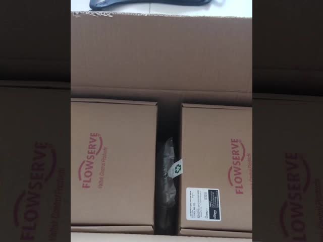 Скид насоса поддержки жидкого топлива китайского интегрированного оборудования двухшпиндельный совмещенный с регулятором РЫБ-ER DVC 6200 видео