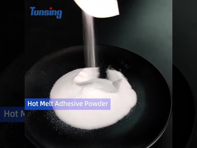 Thermoplastic PES Hot Melt Adhesive Powder Heat Transfers For T - Shirts