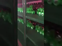 Headlamp приведенный аварийного на открытом воздухе лития 350LM мини video