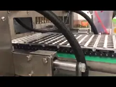 Камедеобразная конфета SUS304 делая машину депозируя автоматический весить video