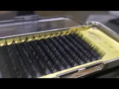 Расширения ресниц реальных шелковых мини индивидуальных ложных ресниц идеальные для расширения брови video