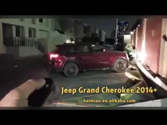 Набора Liftgate силы автомобиля VW Mulitivan T5 конец автоматического мягкий с идеальной обработкой ошибок video