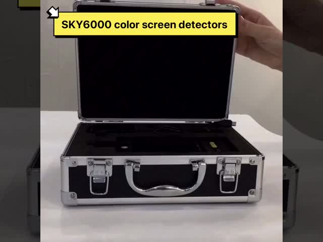 Color Display Single O3 Portable Gas Detector Show Both Curve And Data With Flashlight video