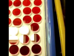 фильтр взаимодействия люминесцентного микроскопа 520nm Bandpass video