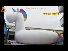 Единорог 2020 Боунсиа новый гигантский раздувной video