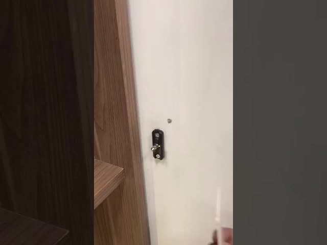 замок шкафа батареи HM-L211 13.56mhz DC6V электрический видео