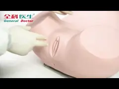 Высокие технологии женское медицинское замечание manikin/uterus тренировки, модель cervix video