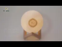 3D печатая диктора 500mAh Equantu SQ168 Корана лампы луны video