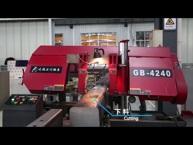 Цапфа железной дороги высокой точности датчика 1000mm метра видео