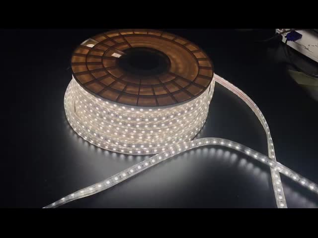 RGBWW или белый затемнять приведенный света прокладки IP65 низкий или высоковольтных CCT Stepless видео