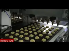 Прессованная пекарня печенья теста 380v делая машину 185kg/H video