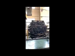 Отлитая в форму подгонянная прессформа продуктов подноса чашки волокна пластиковая вращательная video