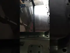 Mould inspection.mp4