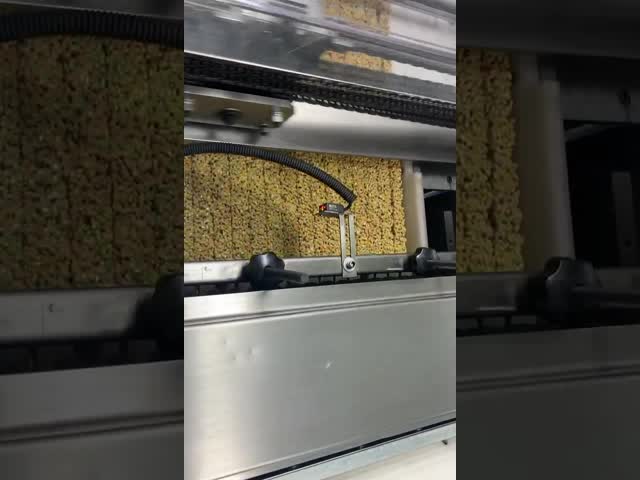 Полностью автоматическая Адвокатура карамельки хлопьев режа формирующ машину 300kg/h 600kg/h видео