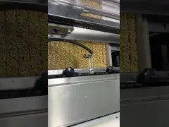 Полностью автоматическая Адвокатура карамельки хлопьев режа формирующ машину 300kg/h 600kg/h video