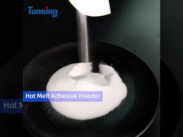 80 - 170 μM PA Polyamide Powder Strong Hot Melt Heat Transfer Adhesive Powder